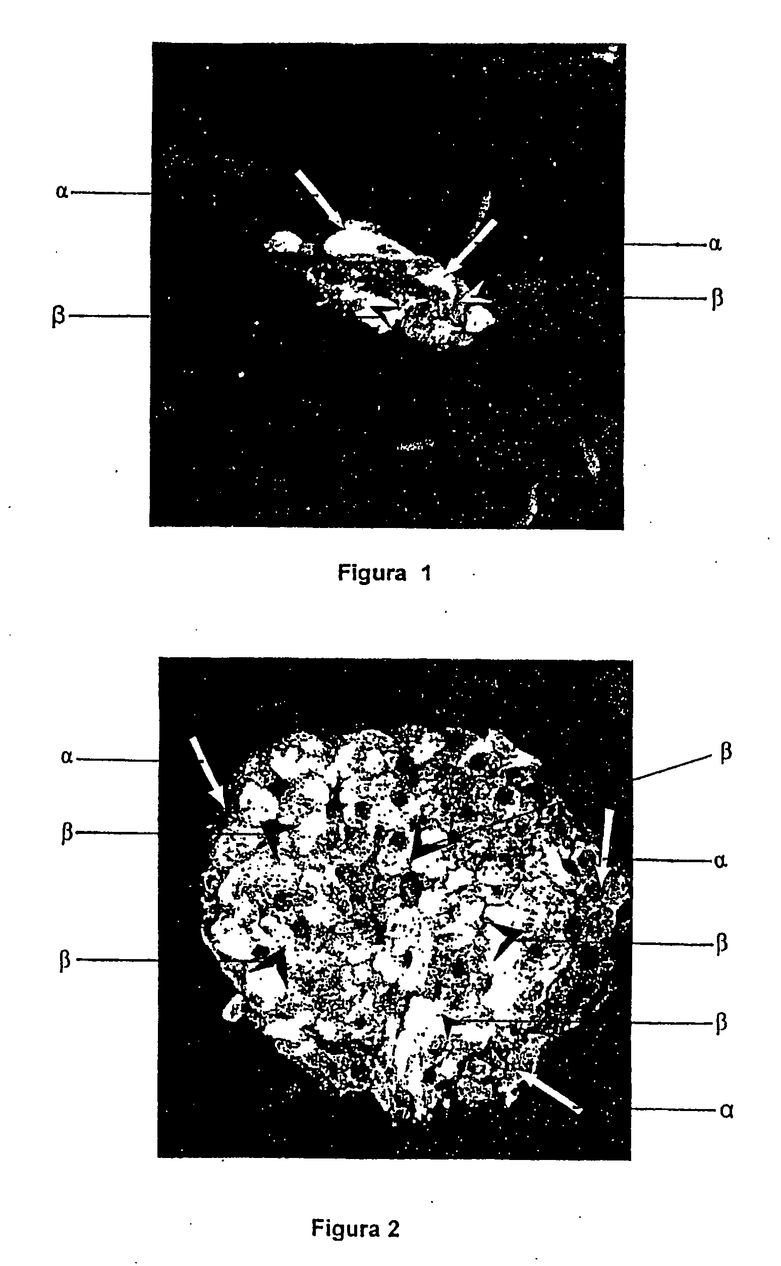 Pharmaceutical compound containing silymarin and carbopol, production method thereof and use of same as a regenerator of tissue and pancreatic cells with endogenous secretion damaged by diabetes mellitus
