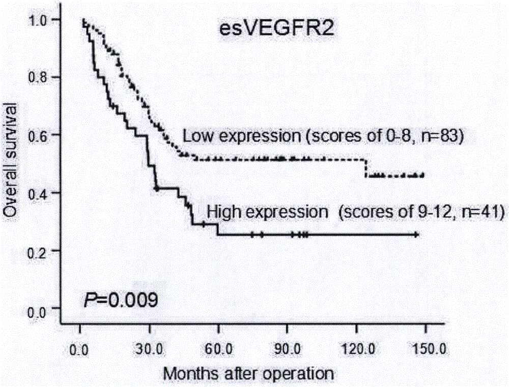 CD105, esVEGR2 and MYC three-protein combined prediction esophageal squamous carcinoma patient prognosis kit