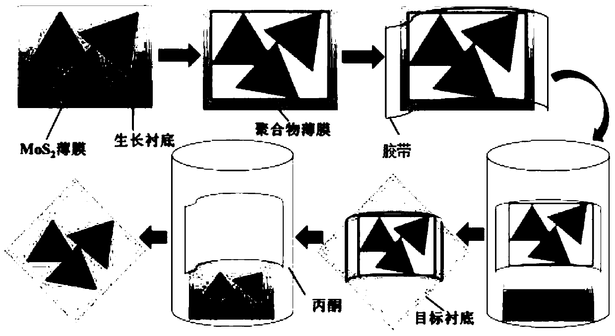 A transfer method for large area monolayer and few-layer molybdenum disulfide film