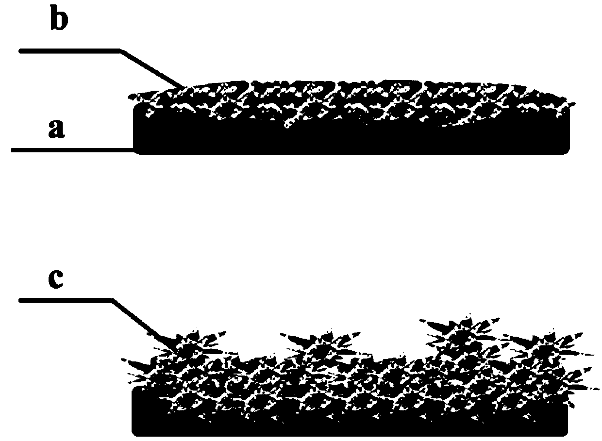 Lithium ion battery electrolyte and preparation method thereof