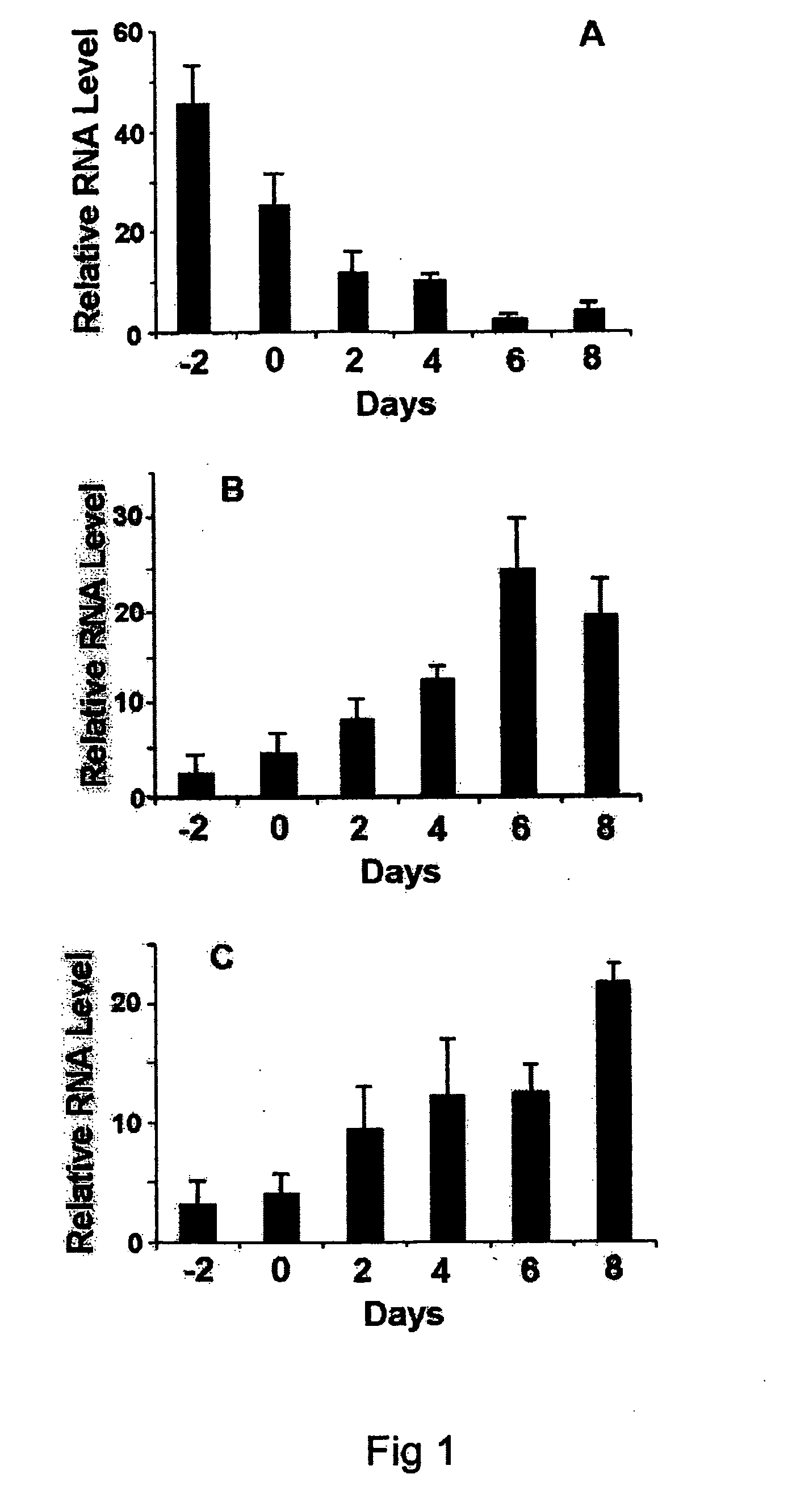 Inhibition of calcium-independent phospholipases A2beta or A2gamma inhibit hormone-induced differentiation of 3T3-L1 preadipocytes