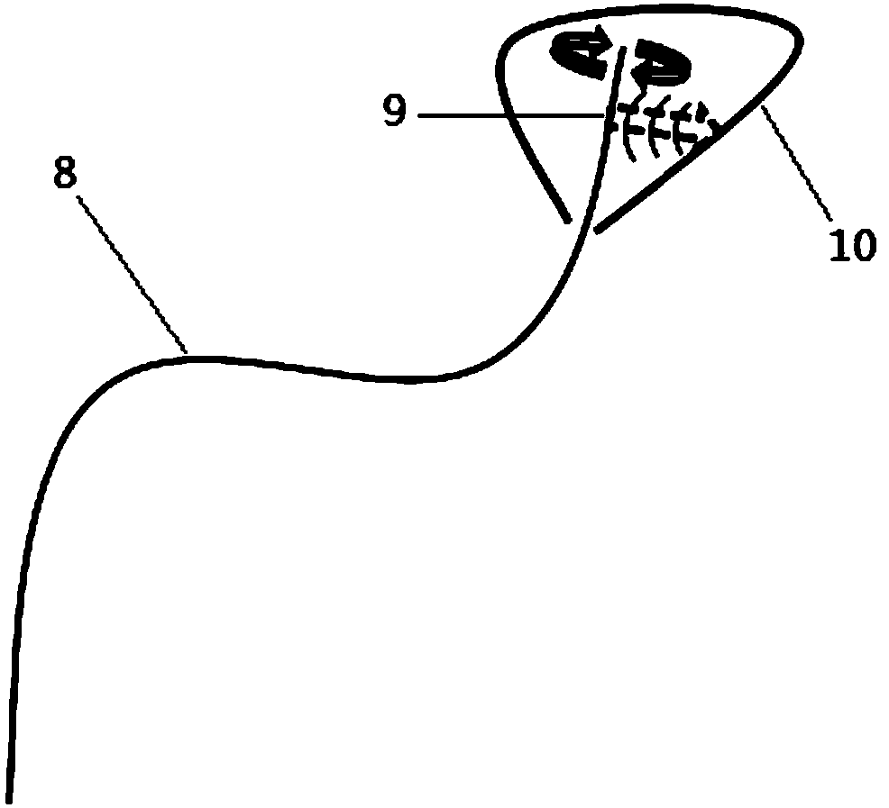 Transurethral optical-acoustic prostate imaging method and device based on ring array receiving