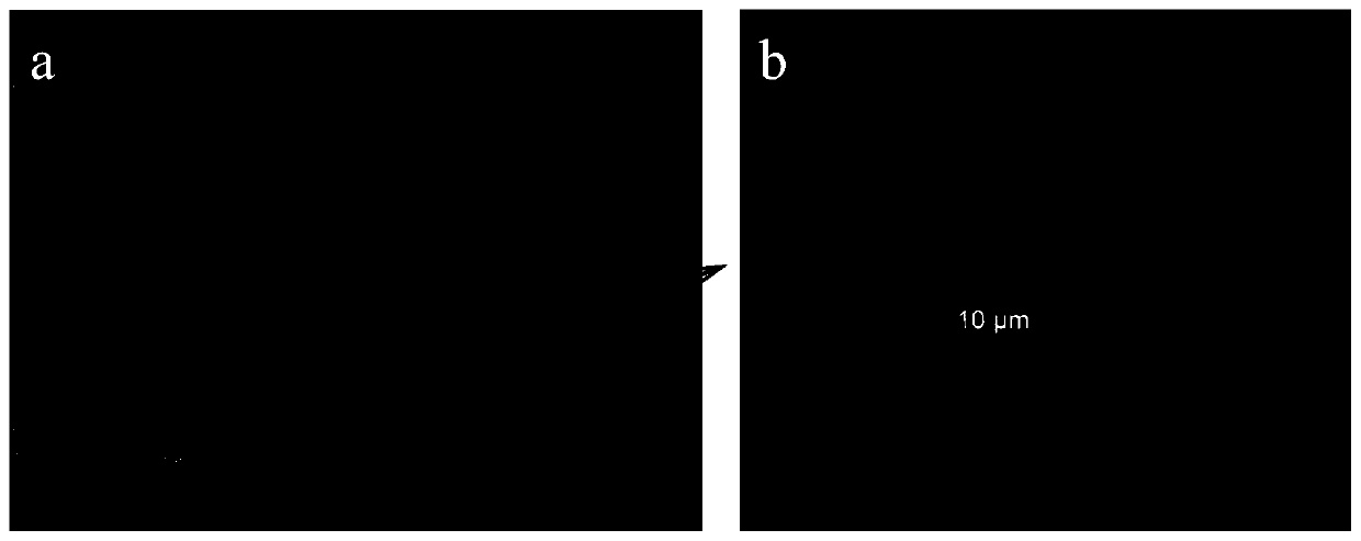 Copolymer with polyphenyl polyether branched chain structure and preparation and application of copolymer