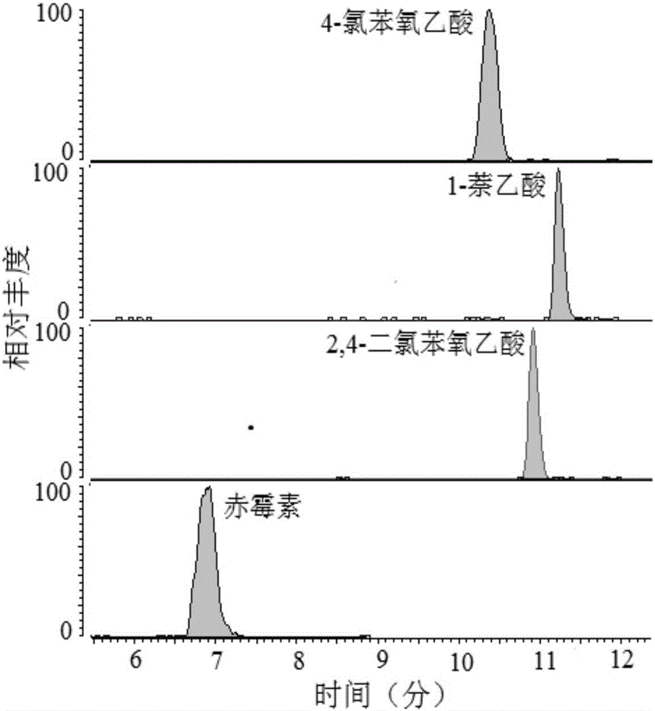 Production method and use of anion exchange online purification solid phase extraction monolithic column