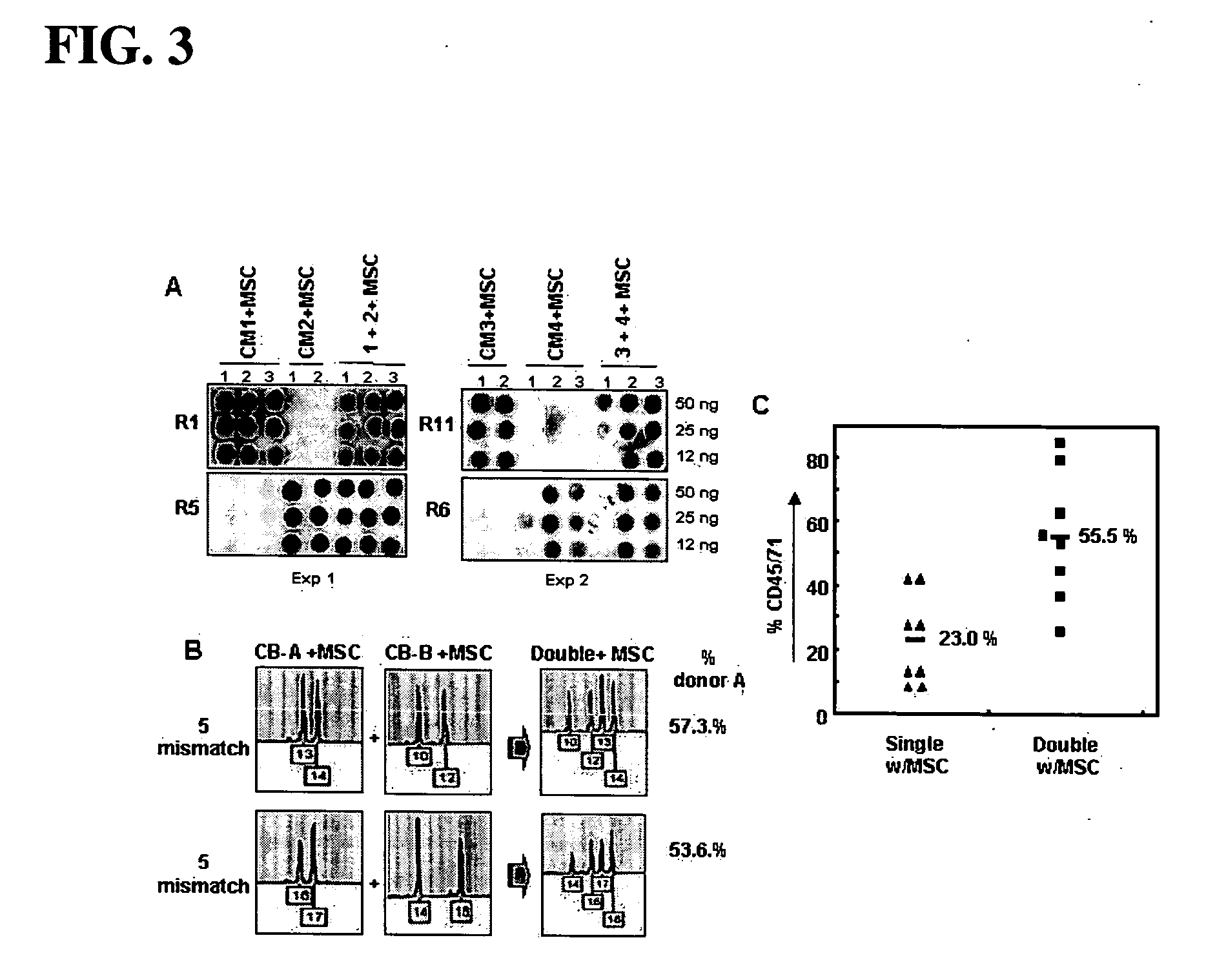 Method of using mesenchymal stromal cells to increase engraftment