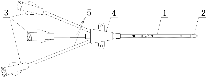 Anti-infection venous catheter and preparation method thereof
