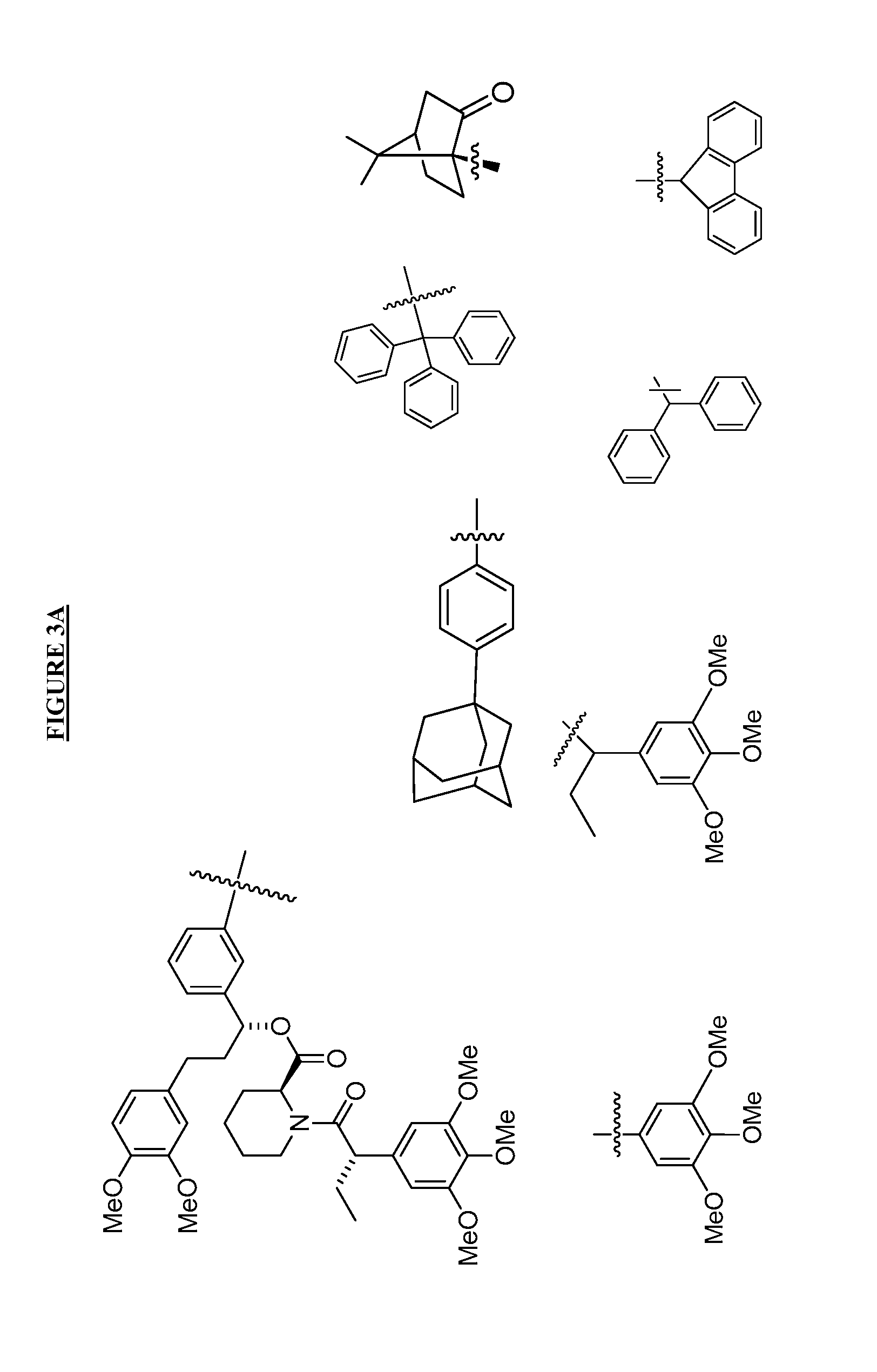 Compounds useful for promoting protein degradation and methods using same