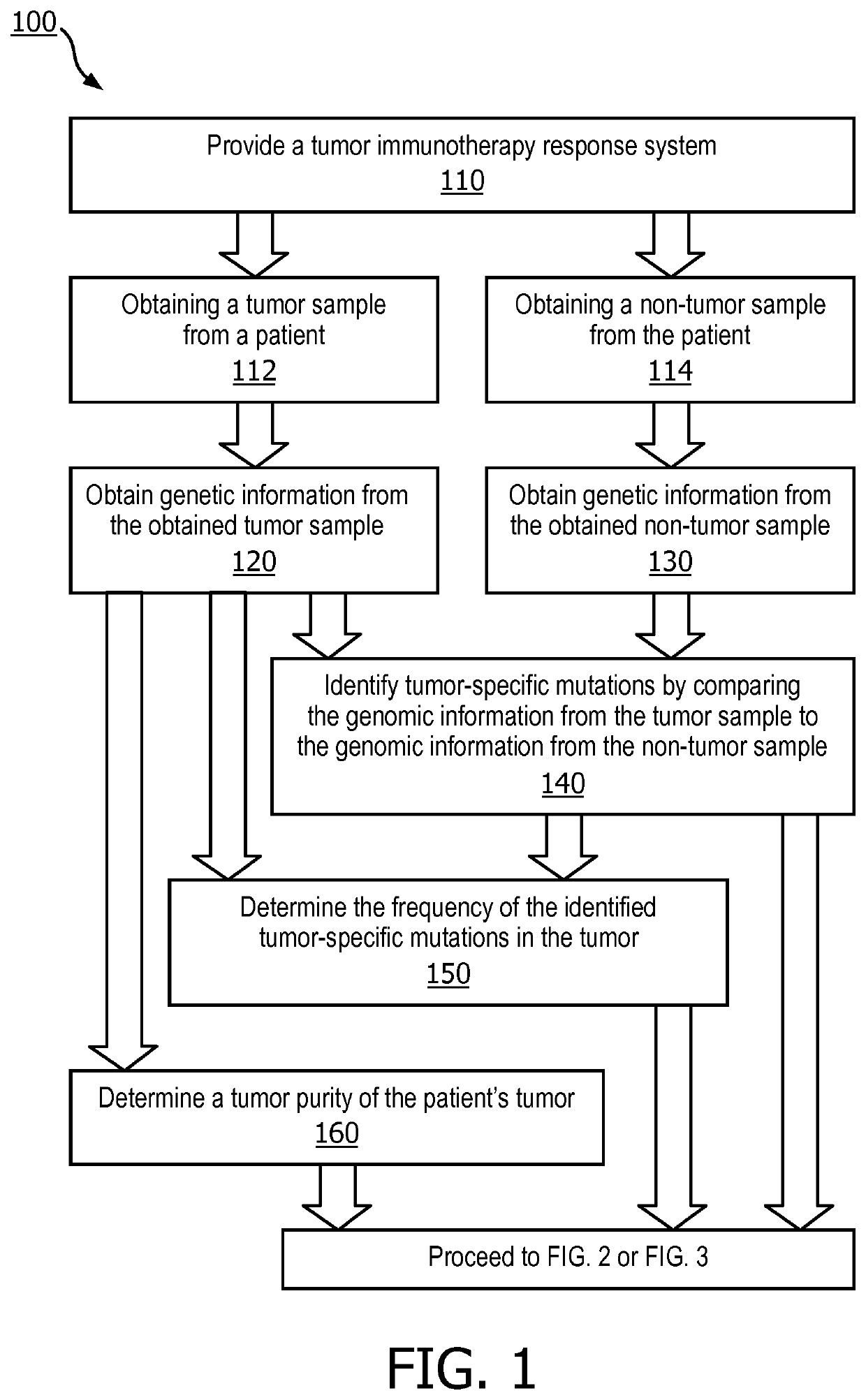 Tumor functional mutation and epitope loads as improved predictive biomarkers for immunotherapy response