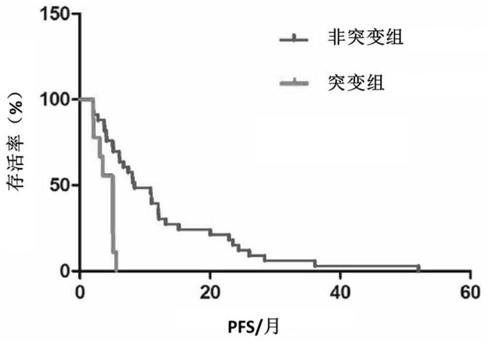 Genetic mutation sites for predicting drug responsiveness to anti-her2 therapy in breast cancer patients and its application