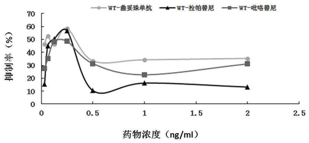 Genetic mutation sites for predicting drug responsiveness to anti-her2 therapy in breast cancer patients and its application