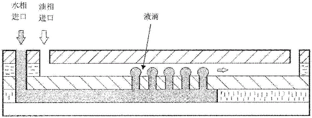 Microfluidic chip and droplet generation device applying same