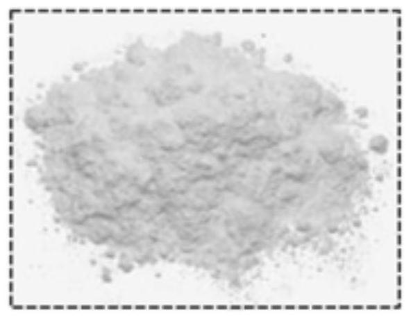 Preparation method and application of synthetic ammonia catalyst