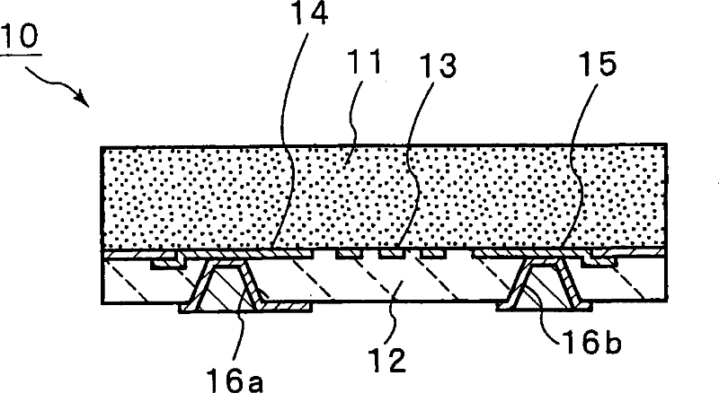 Method for manufacturing sound boundary wave apparatus, and sound boundary wave apparatus