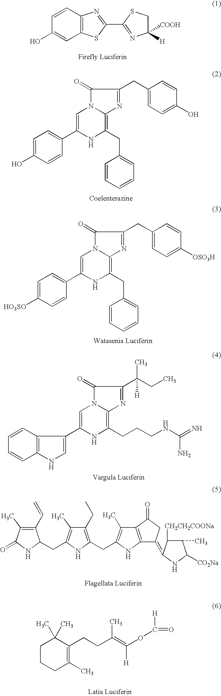 Luciferase and photoprotein