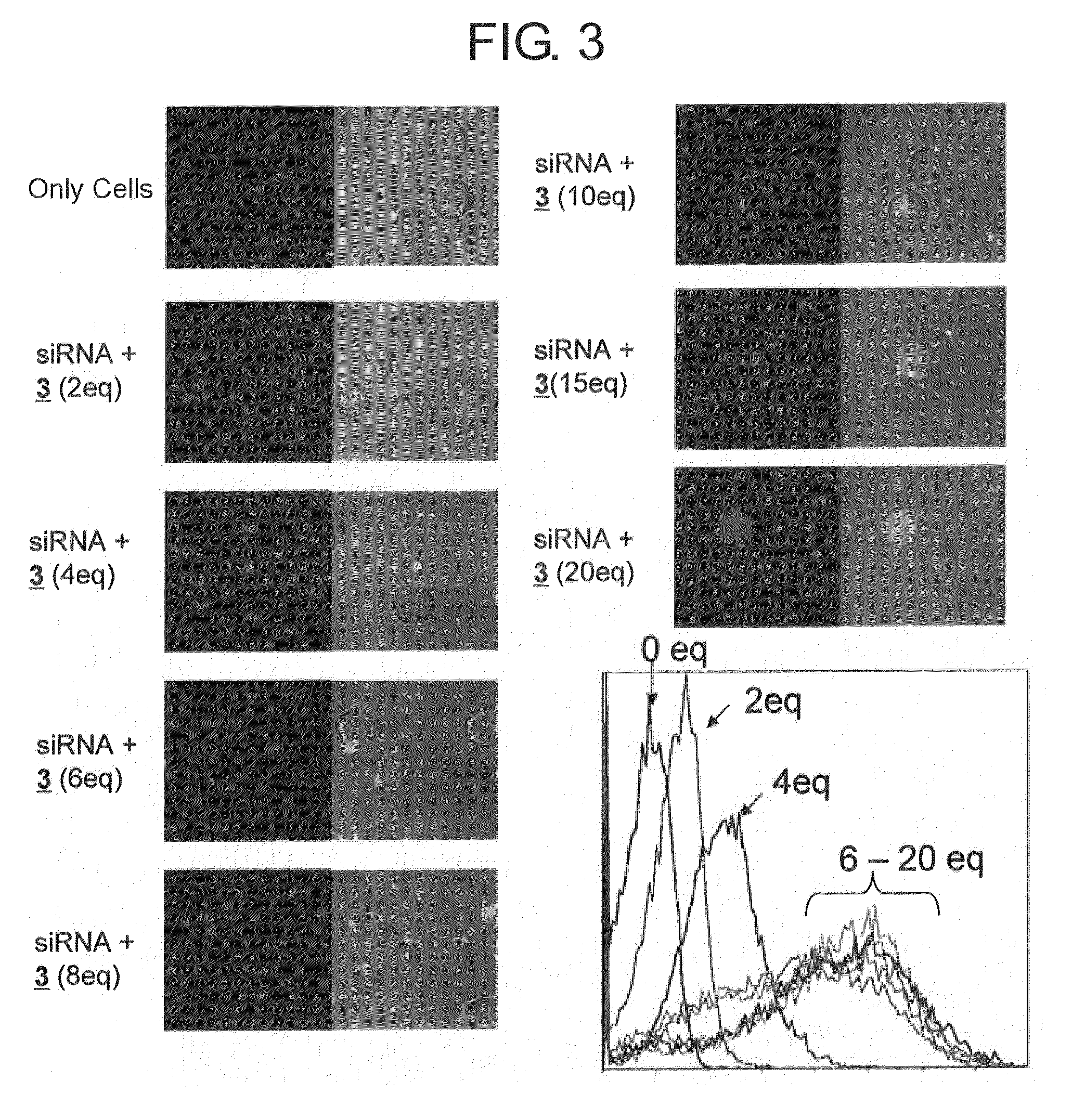 Method for transfecting nucleic acid to cell and nucleic acid complex