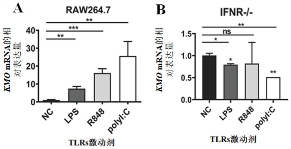 Anti-herpes simplex virus type I drug and preparation method and application thereof