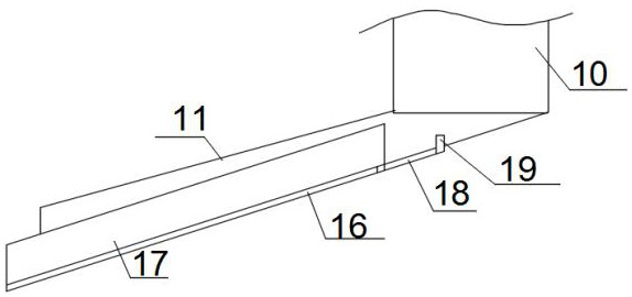 Camellia oleifera cultivating and planting method