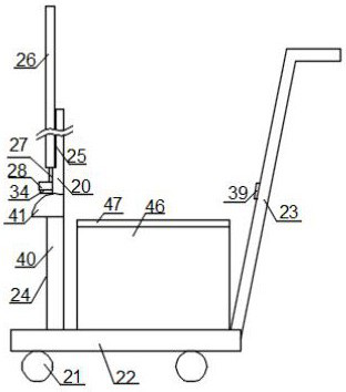 Camellia oleifera cultivating and planting method