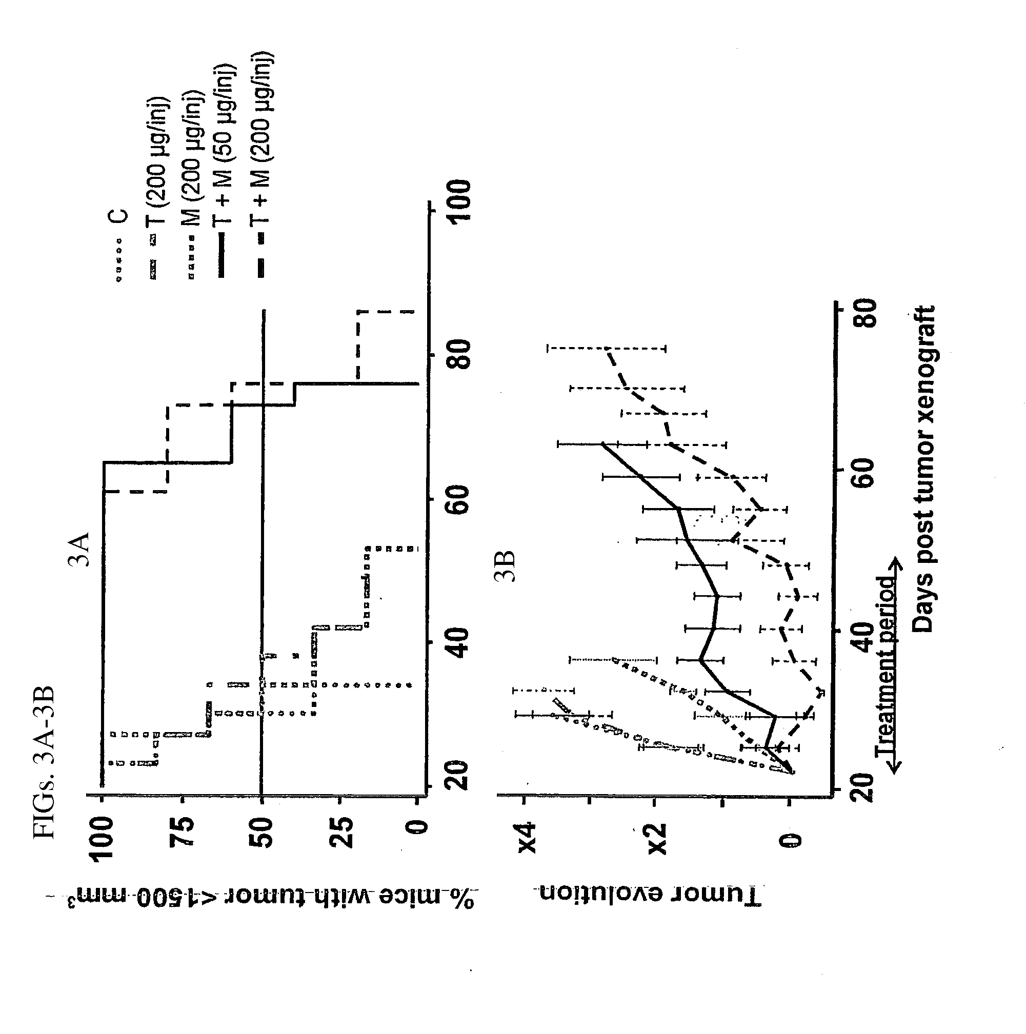 Combination Therapy Using Anti-EGFR And Anti-HER2 Antibodies