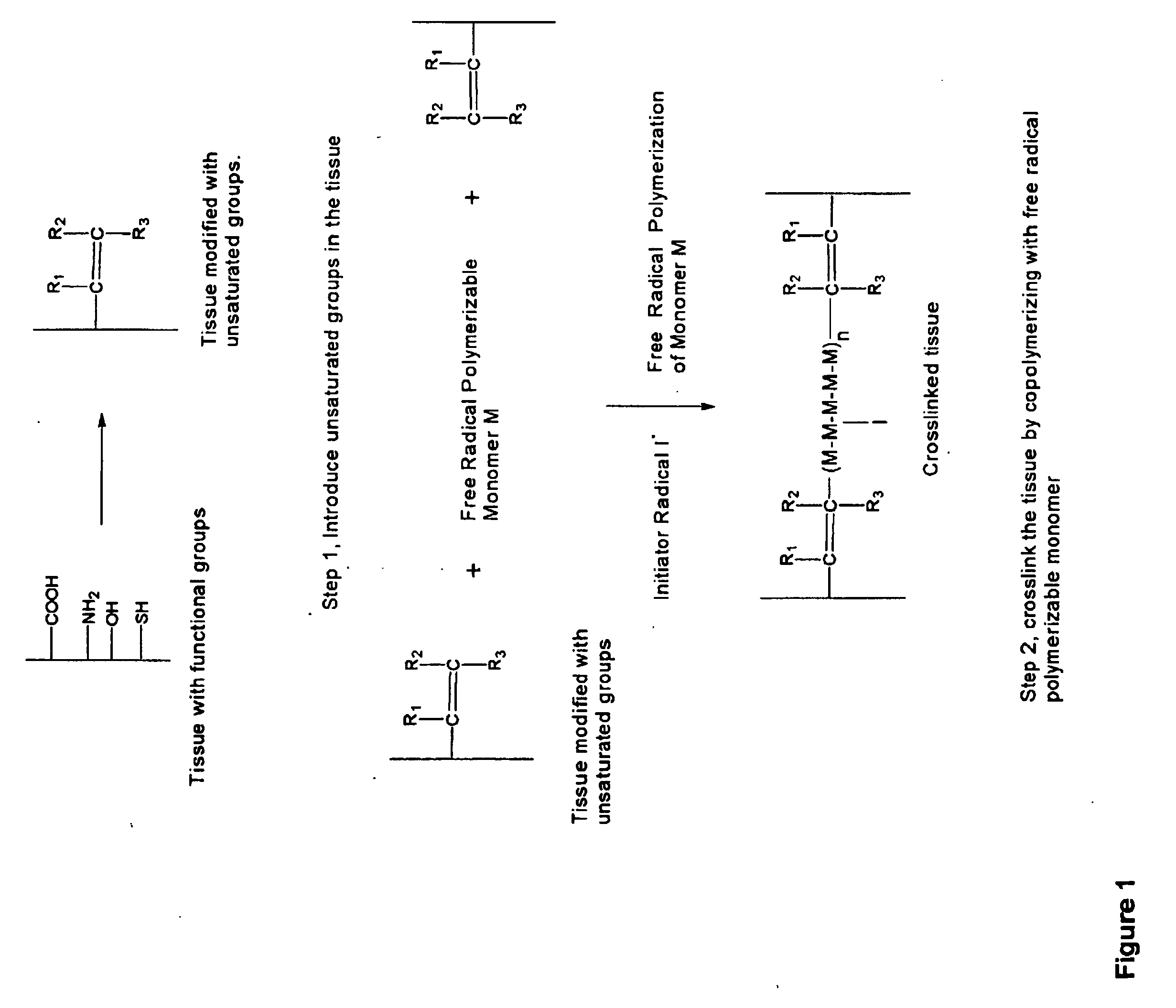 Implantable tissue compositions and method
