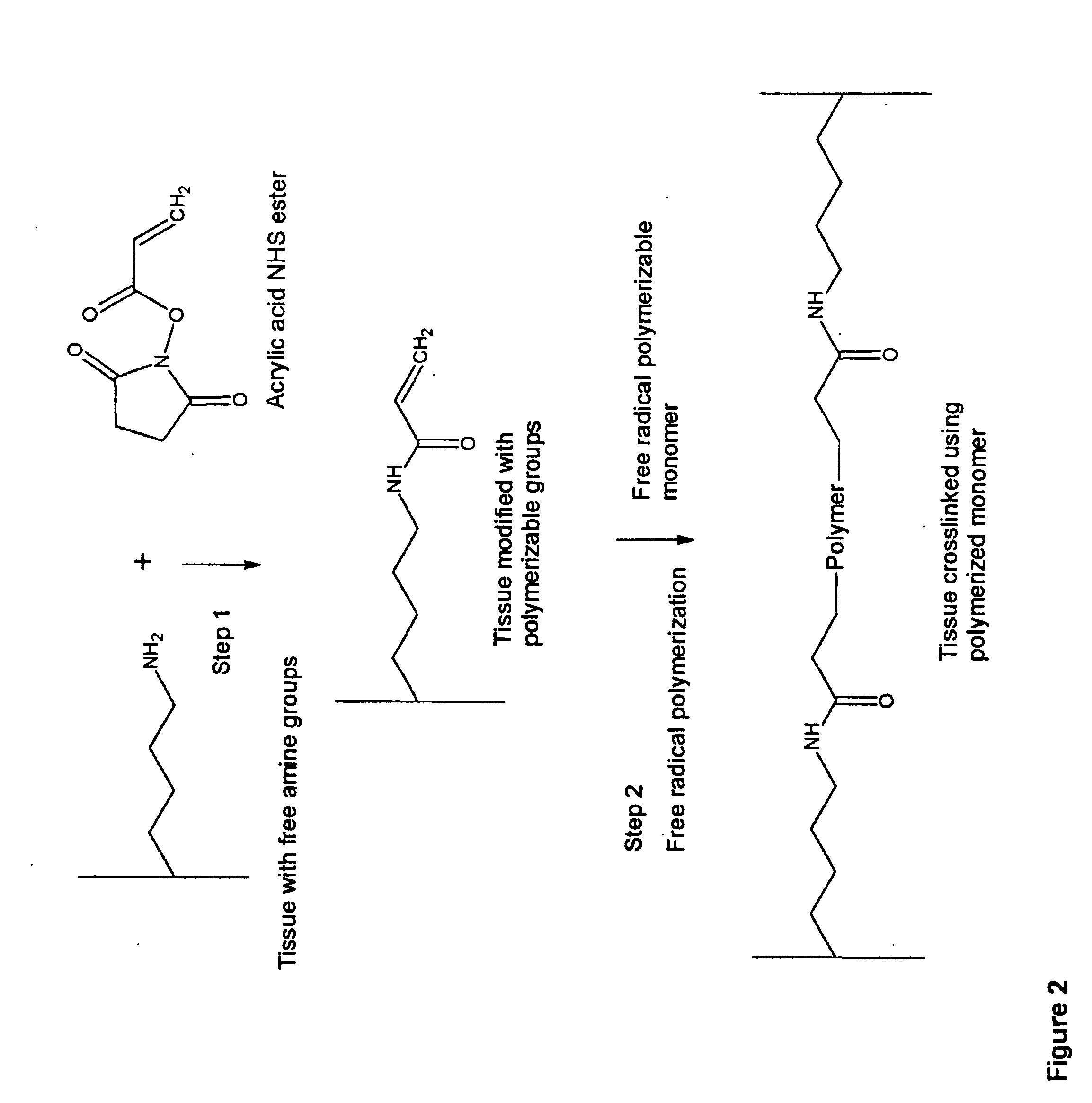 Implantable tissue compositions and method