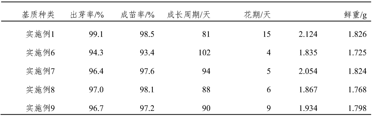 Lily cultivation medium and lily cultivation method