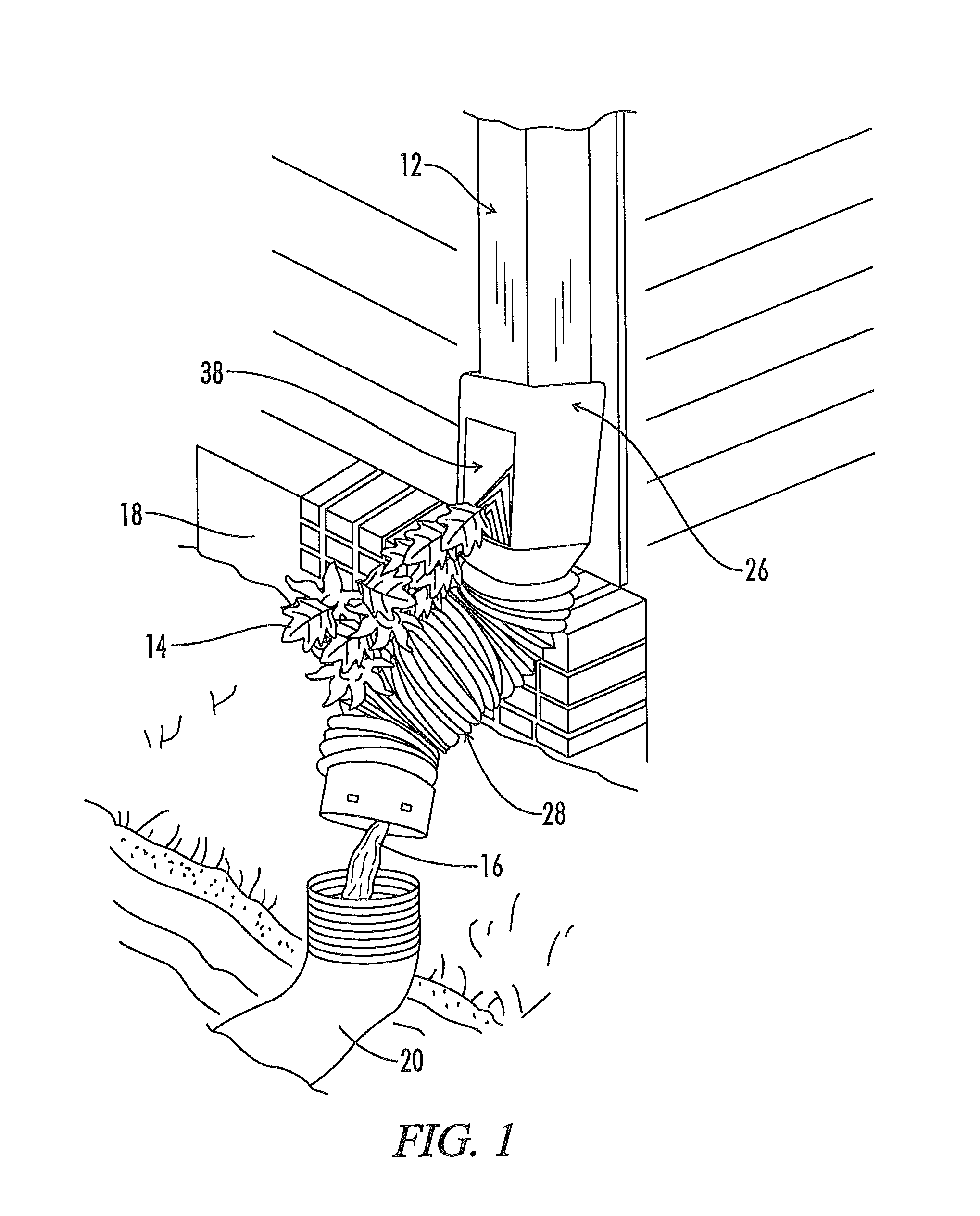 Downspout drain connection and filter