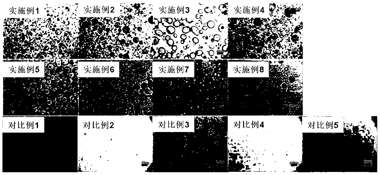 Probiotic microcapsules based on total-aqueous phase composite coagulation and preparation method of probiotic microcapsules