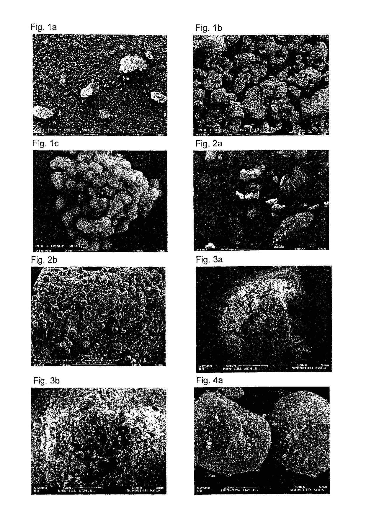Microstructured composite particles