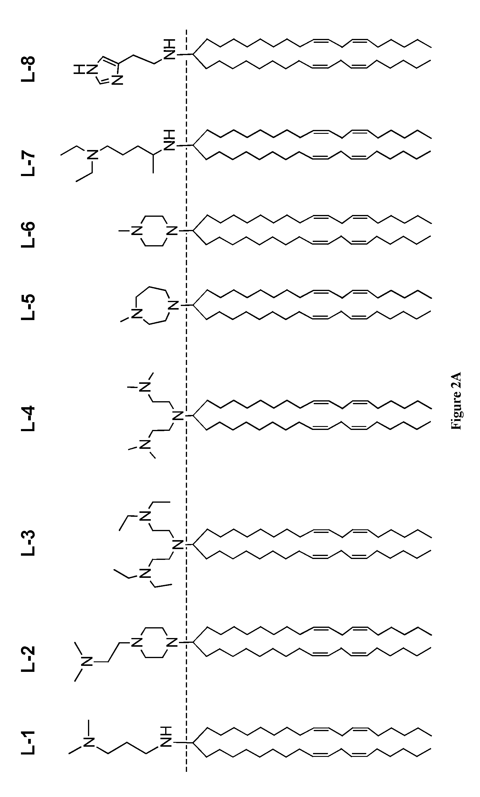 Amine cationic lipids and uses thereof