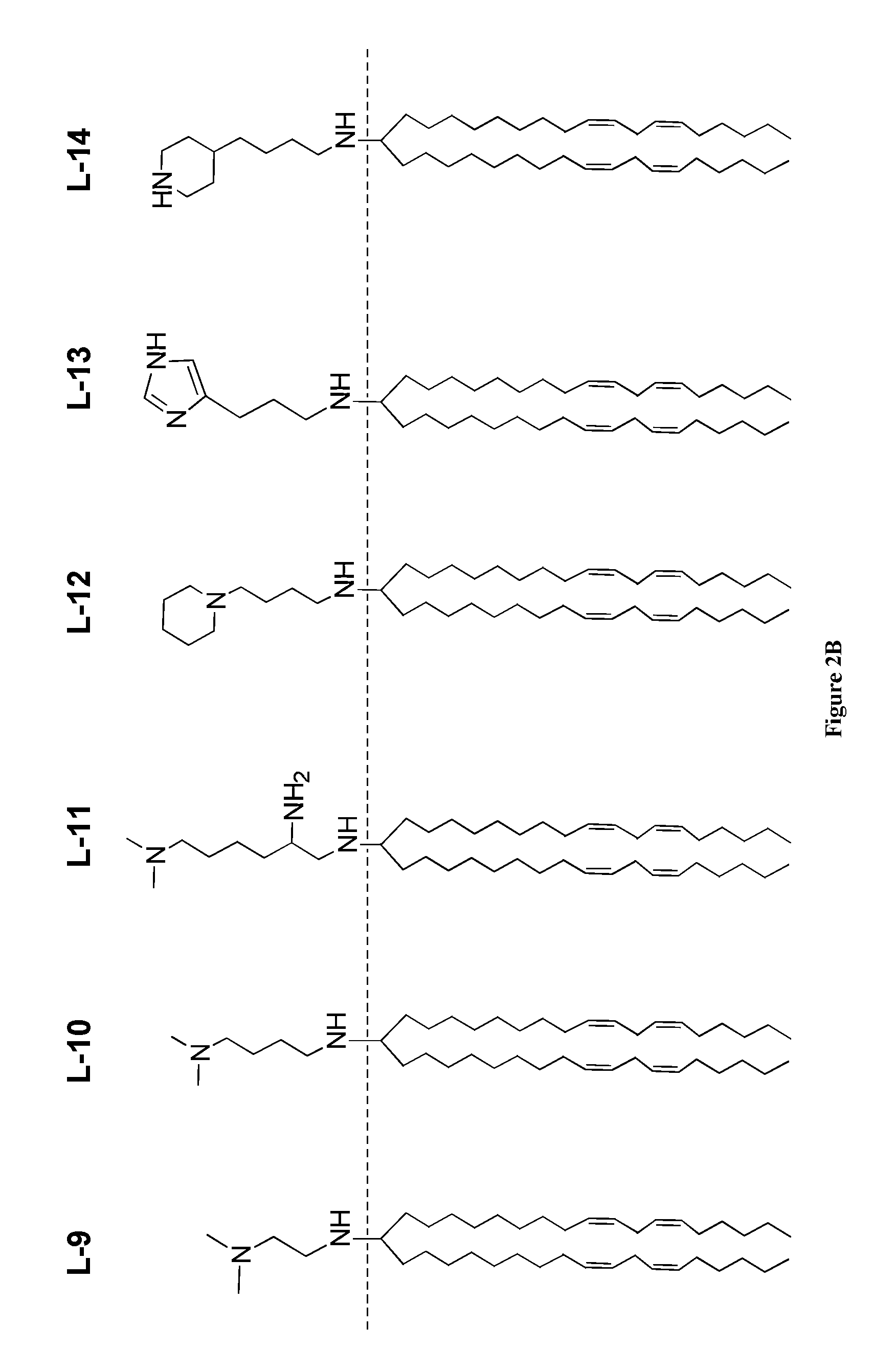 Amine cationic lipids and uses thereof