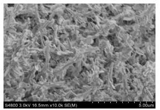Nanometer forest-shaped V-doped Ni3S2/NF self supporting electrode and preparation method thereof