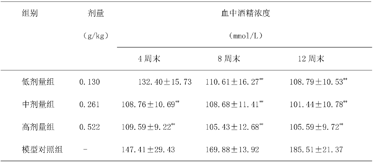 Composition used for preventing and treating alcoholic liver injury and having hangover alleviating effect