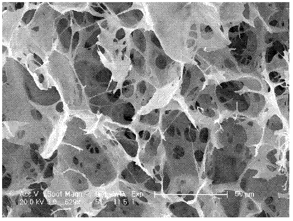 Preparation method and application of affinity chromatography porous medium with glutathione ligand