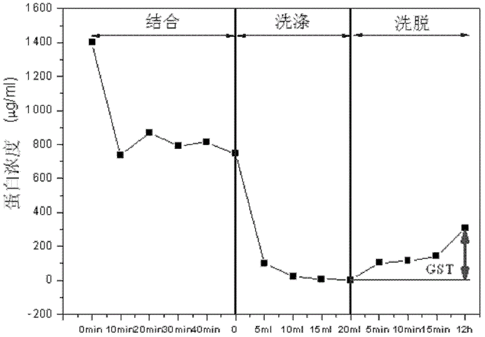 Preparation method and application of affinity chromatography porous medium with glutathione ligand