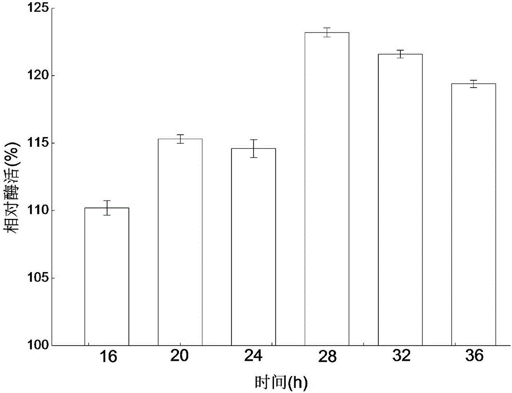 Recombinant escherichia coli for improving enzyme activity of bile salt hydrolase