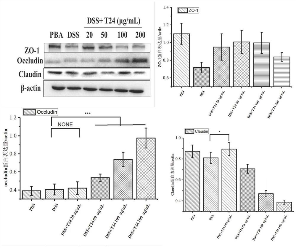 Polypeptide for preventing or treating ulcerative colitis