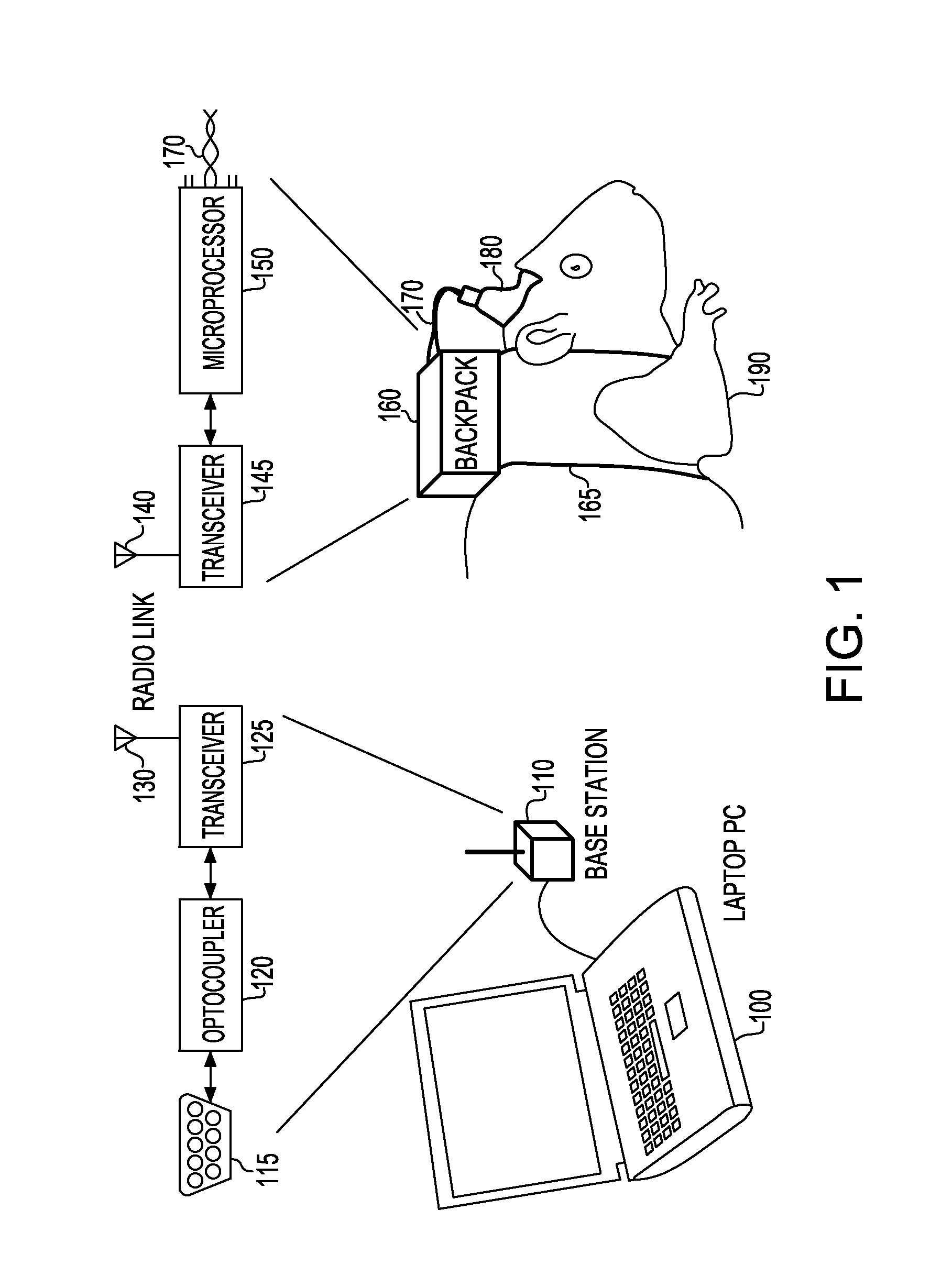 Method and apparatus for teleoperation, guidance and odor detection training of a freely roaming animal through brain stimulation