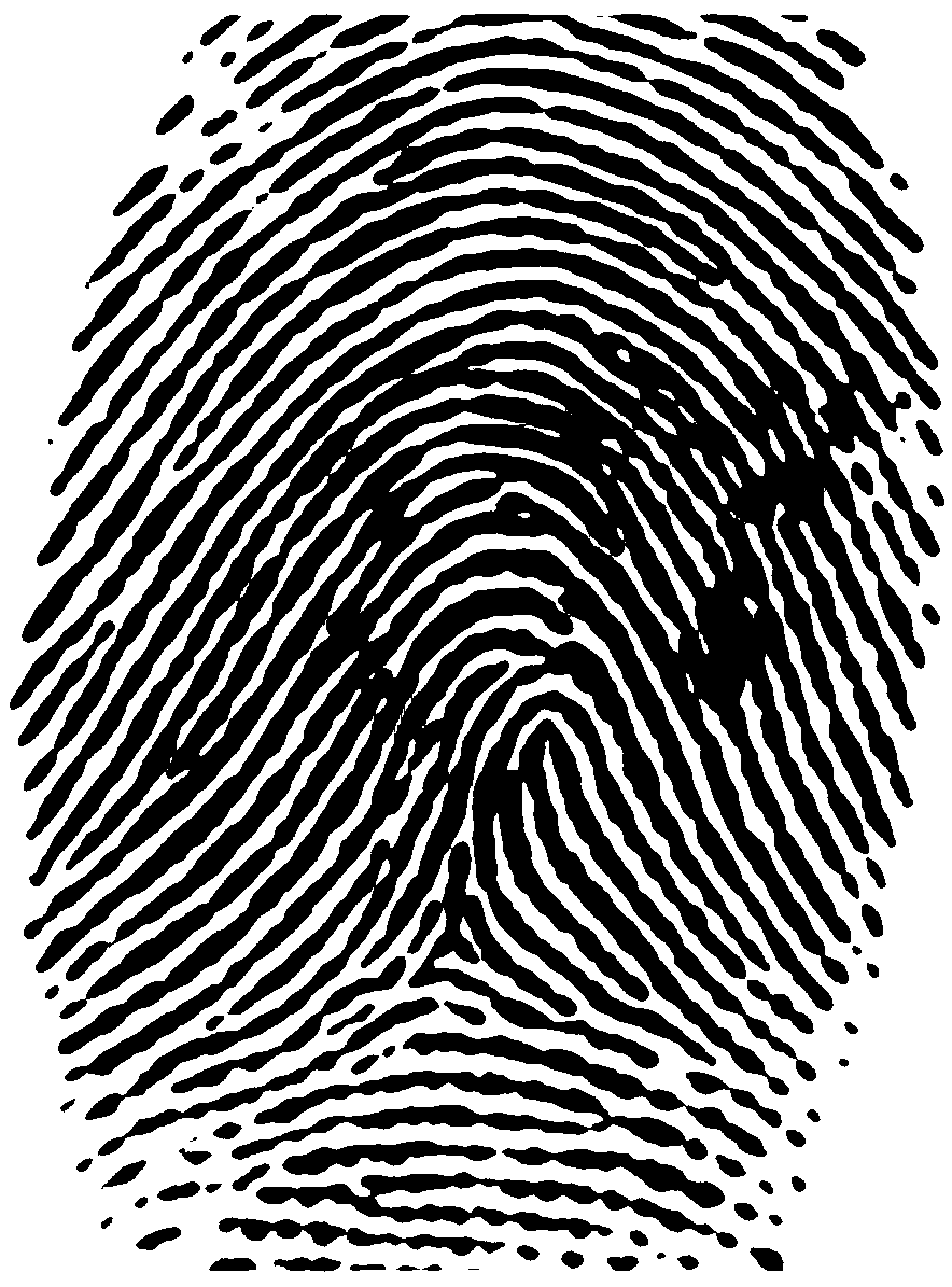 Symmetric hash based irreversible fingerprint template encryption method