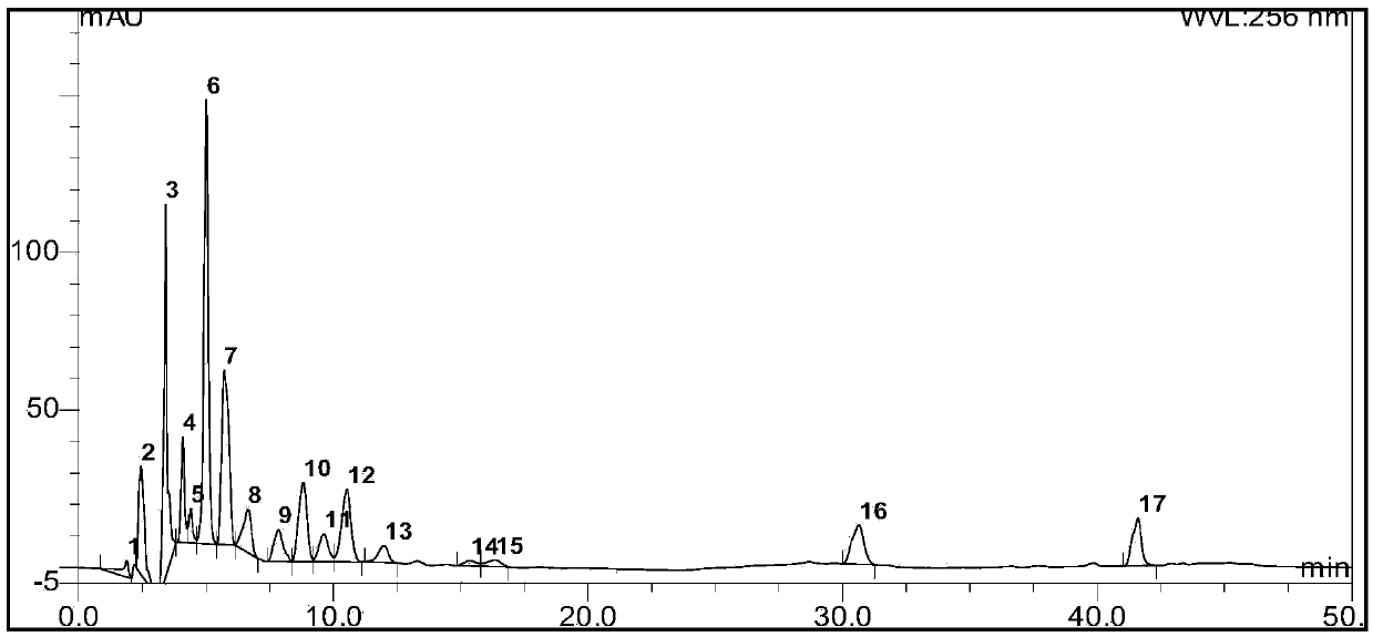 Traditional Chinese medicine composition for preventing and treating dyslipidemia and preparation method of traditional Chinese medicine composition for preventing and treating dyslipidemia