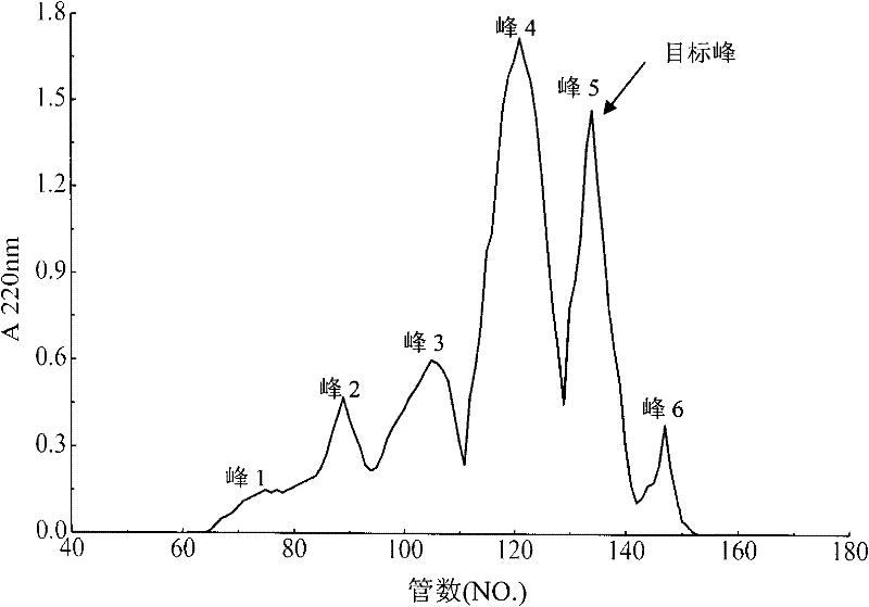 Method for preparing antihypertensive peptides by using enzymatic degradation on mussel-digested protein