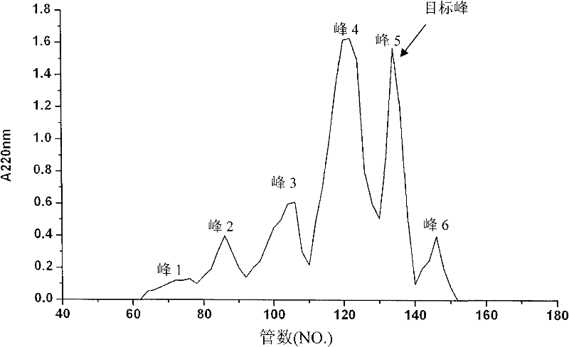 Method for preparing antihypertensive peptides by using enzymatic degradation on mussel-digested protein