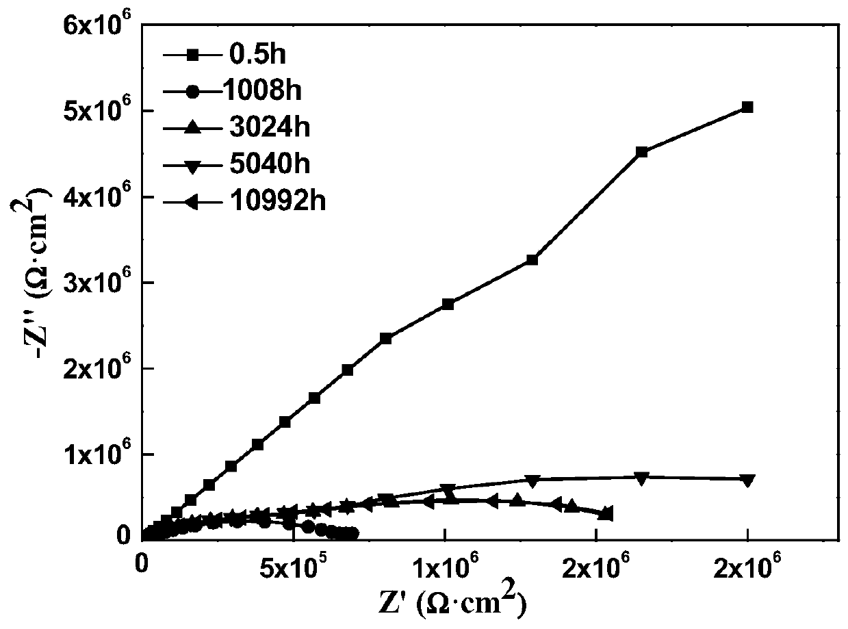 A long-term anti-corrosion and weather-resistant functional coating and its preparation method