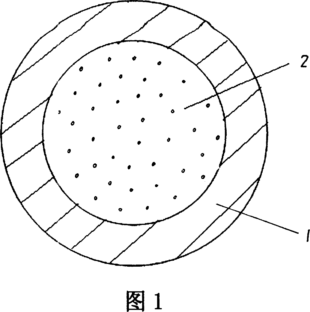 Method for preparing hollow fiber with temperature sensitive medicinal hydrogel and application thereof