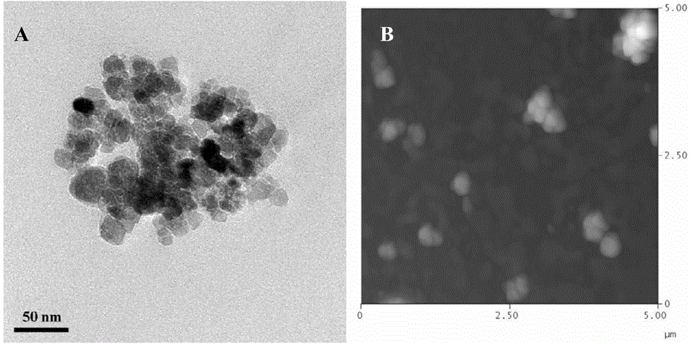 Preparation method of ferric oxide nanoparticle supported sodium alginate nanogel