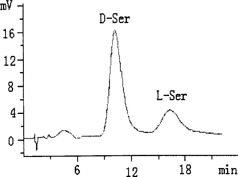 Core-shell structured stationary phase for chiral ligand exchange chromatography and method for making same