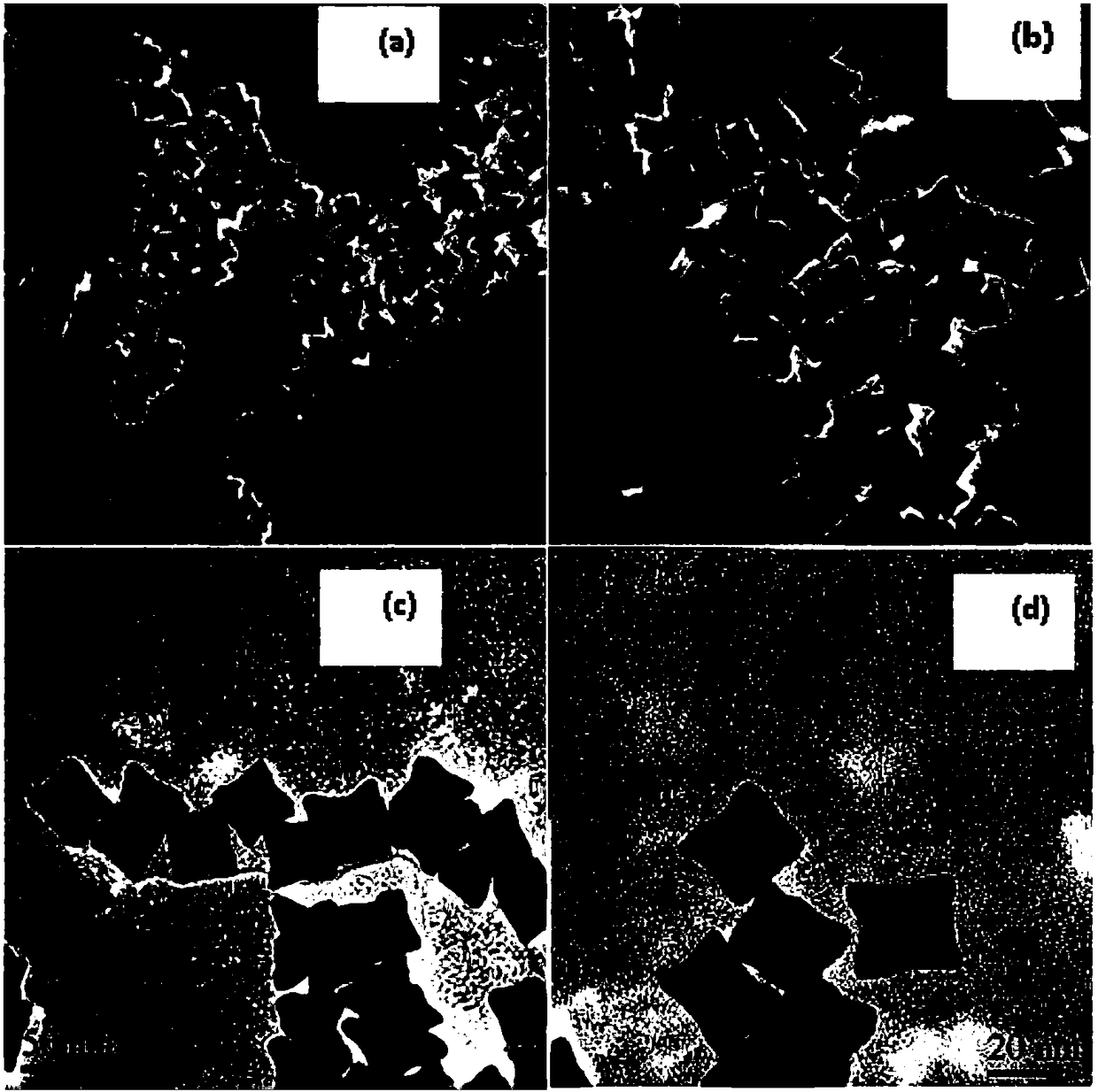 Eight-foot-shaped Pt-Cu alloy nanometer material and synthetic method and application of eight-foot-shaped Pt-Cu alloy nanometer material