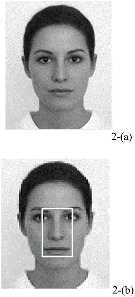 BP (back propagation) neural network-based momentum face detection method