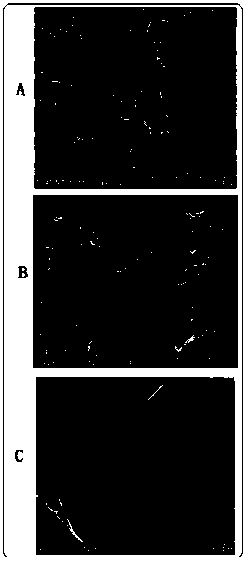 A gel biomaterial with shape memory function and preparation method thereof