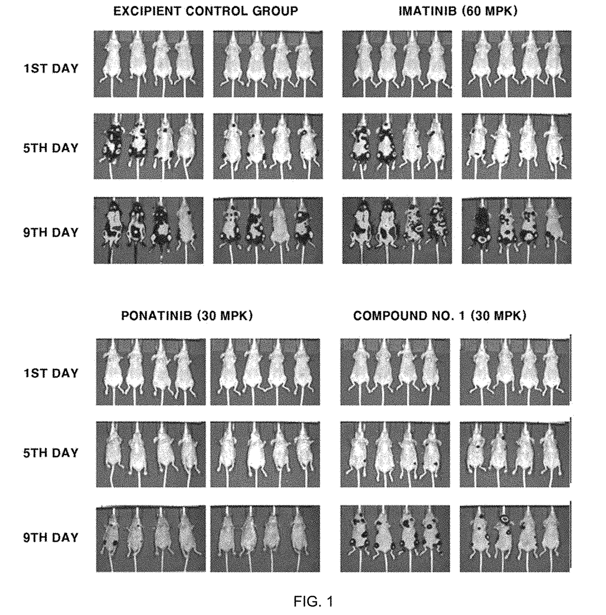 Cml therapeutic agents with reduced drug-resistance and side-effect comprising 1,6-disubstituted indole compounds